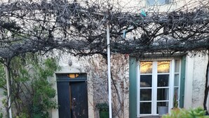 A table with oranges and a potted plant, a pergola, and a building with a door and windows in the background.