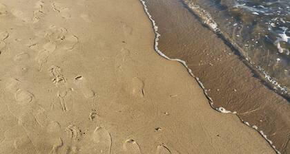 House sleeps 16 close to the camargue sea cevennes quiet