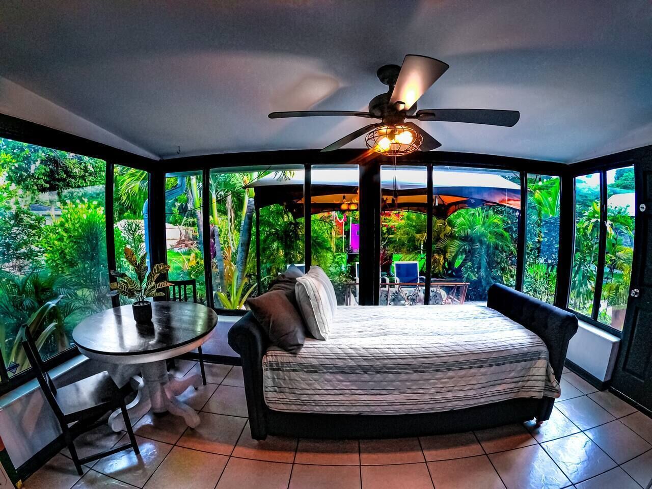 St Pete beach house | backyard Jungle Oasis!