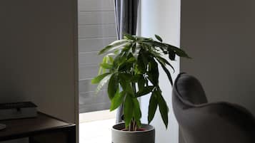 Habitación doble, con acceso para personas discapacitadas, baño en la habitación | Vista desde la propiedad