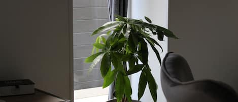 Vue depuis l’hébergement