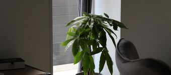 Aux P'tits Bonheurs la Grange