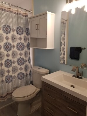 Combined shower/bathtub, hair dryer, towels, soap