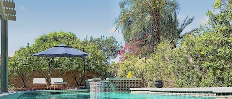 A swimming pool with clear water, surrounded by lush greenery and a palm tree.