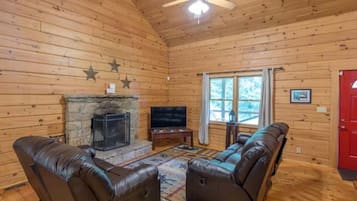 智能电视、壁炉、DVD 播放器