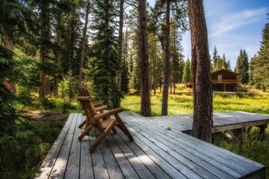 Property grounds - Creekside Cabin (Lead)