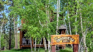 A cabin named 'The Verantike Cabin' surrounded by birch trees. - Mercantile Cabin (Lead)