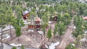 Eine abgelegene Holzhütte, umgeben von dichtem Wald, mit einer unbefestigten Zufahrt zum Eingang.