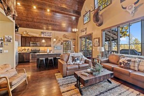 TV, fireplace - Ravens Ridge - Modern, new cabin with 4 bedrooms, (Lead)