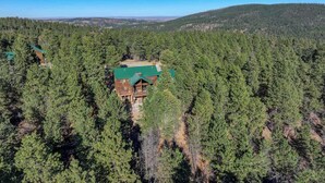 Una cabaña rodeada de bosque denso, con vista despejada del paisaje circundante.