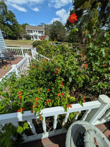 Cozy, Cute, Private Ozark Suite 5 Mins to Hospital