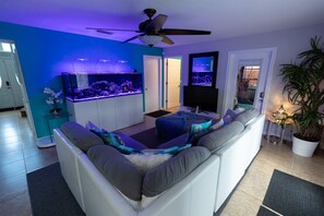 Televisión, chimenea, videojuegos y reproductor de DVD