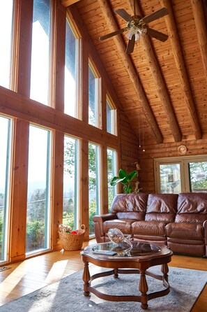 Smart-tv, pejs, videospil, dvd-afspiller