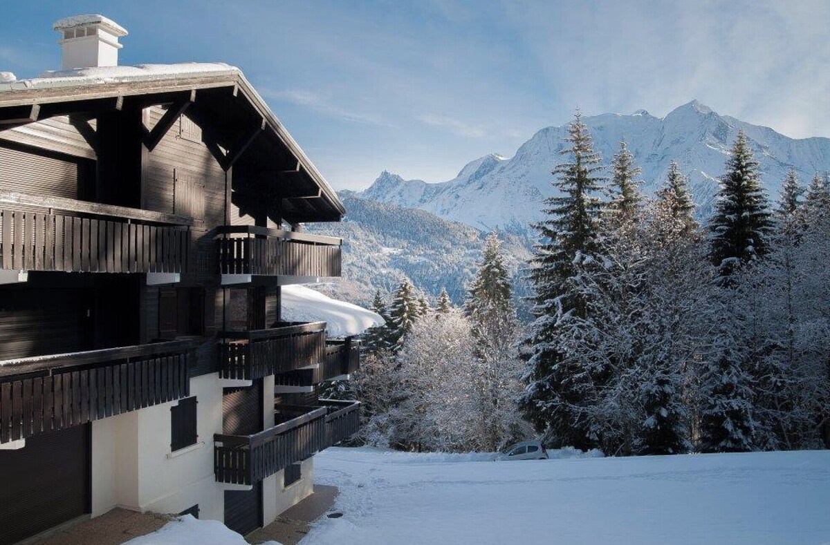 Imagen de perfil del propietario o de la propietaria