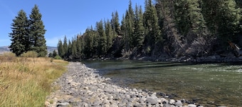 Cabin on the Rio Grande River With Private Fishing Right Outside Your Door!