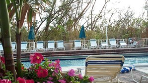 A poolside area with lounge chairs and umbrellas, surrounded by trees and a flower bed. - FLBR 1 BR Condo 1501 - 2 blocks off beach with great Ocean Front Balcony Views. (Fort Lauderdale)