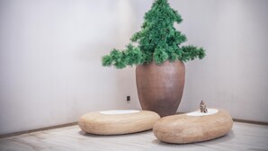 A minimalist room with a large potted tree, two wooden stools, and a plain wall. - Ji Hotel (Shanghai)