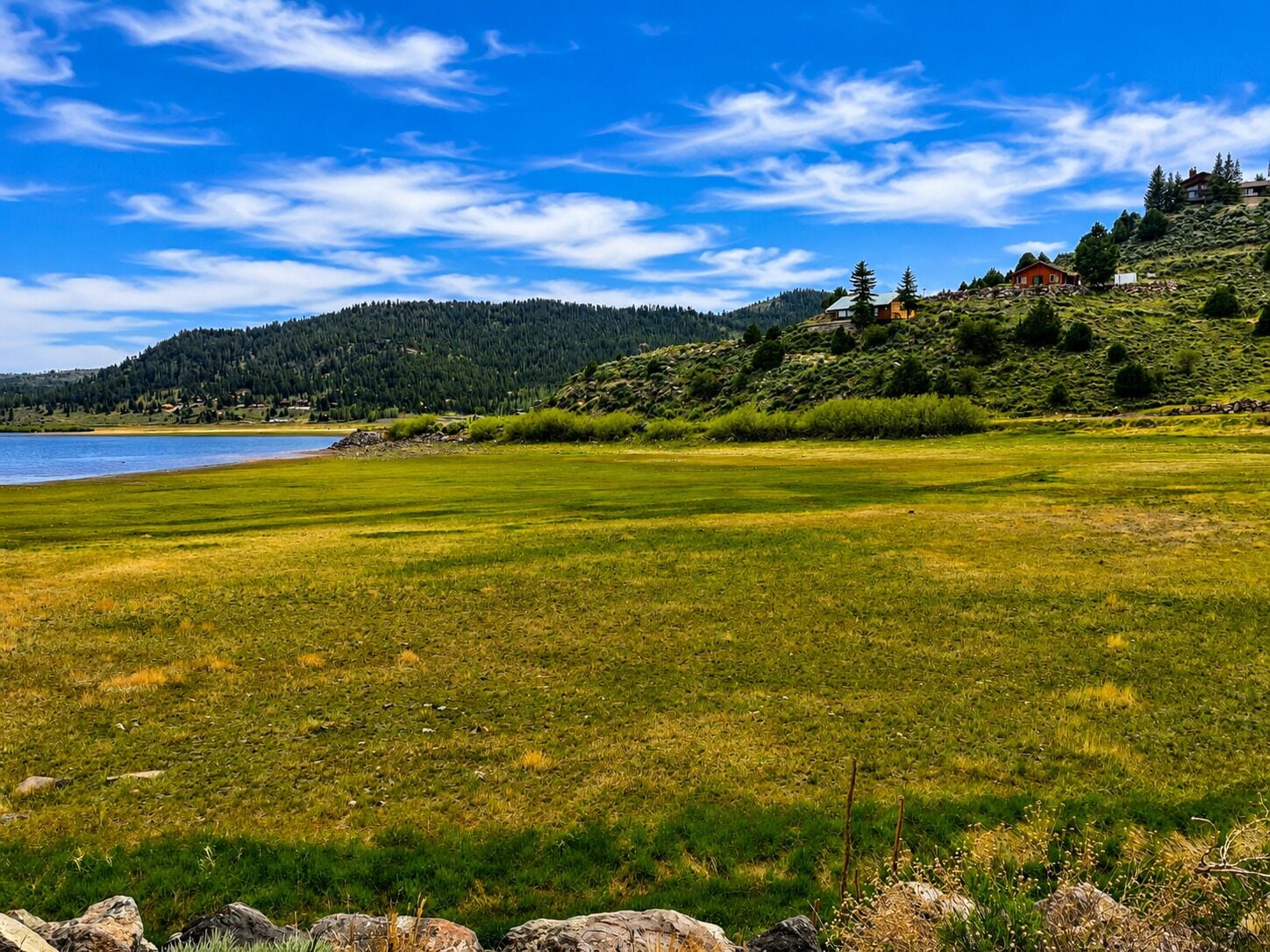 A grassy field with a lake and forested hills in the background.