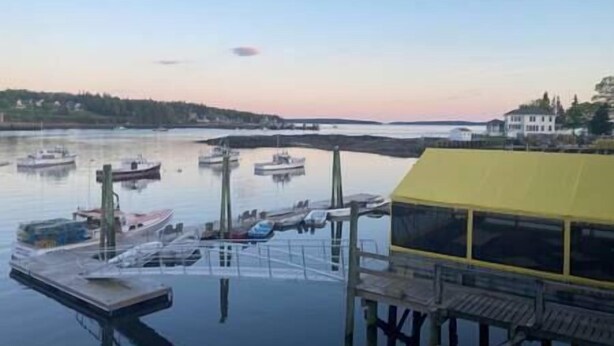 Un port de plaisance avec des bateaux amarrés à des quais en bois, une structure jaune abritée et une côte lointaine parsemée de bâtiments.