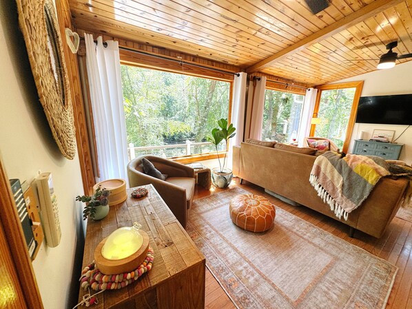 Älytelevisio, kirjoja