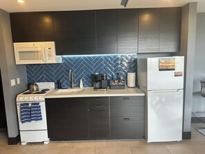 Fridge, microwave, oven, stovetop - Ocean/Sunset Views, Modern, Sunset Cliffs/Point Loma near OB, PLNU, Thurs Club (San Diego)