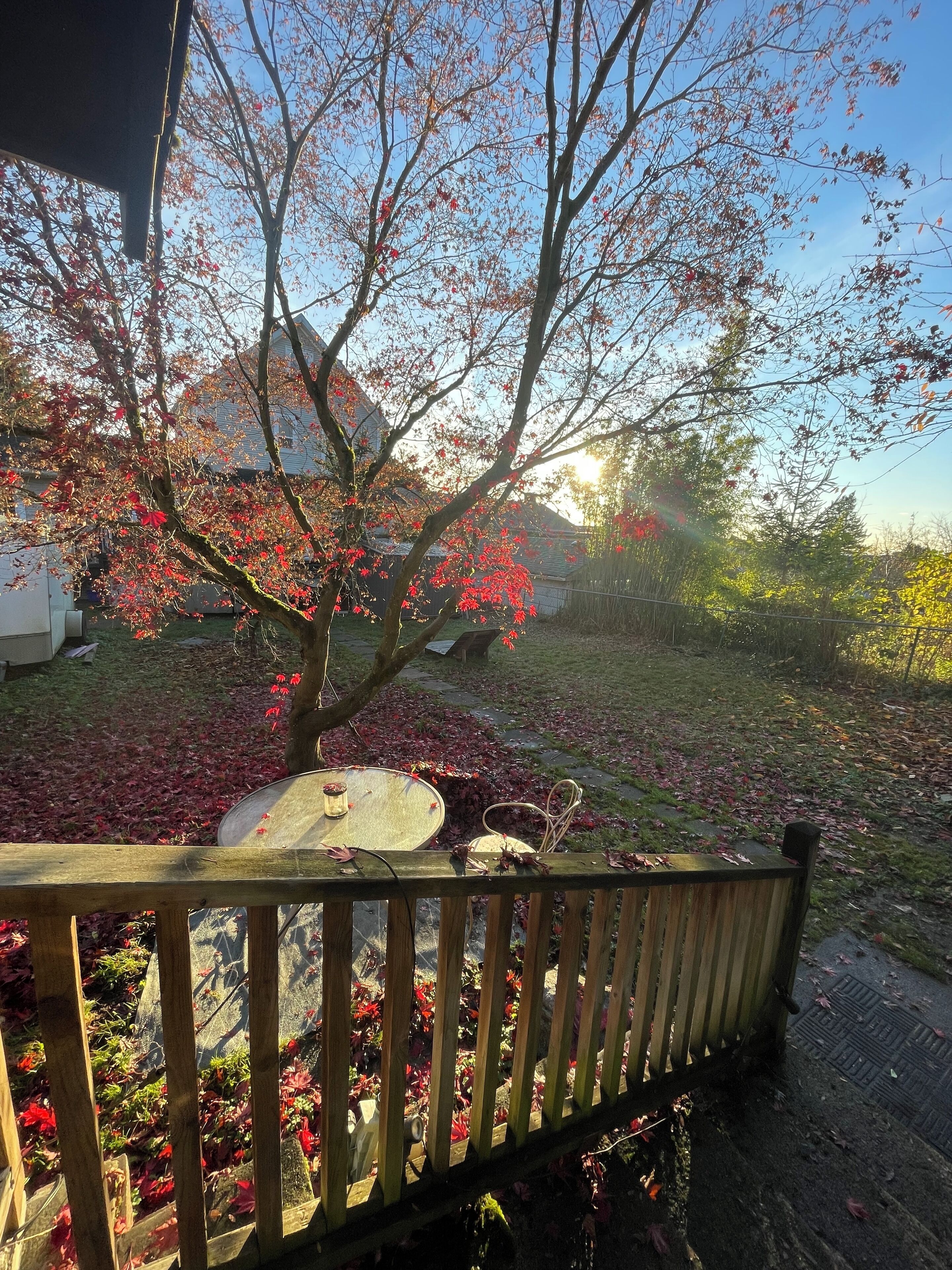 テラス / パティオ