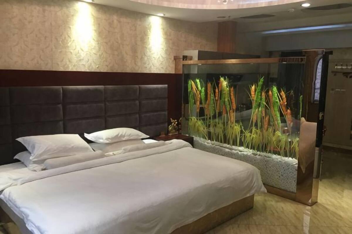 Habitación de hotel con cama, un acuario decorativo y un cabecero moderno.
