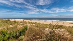 A beach with a clear sky, sandy shore, and sparse vegetation.