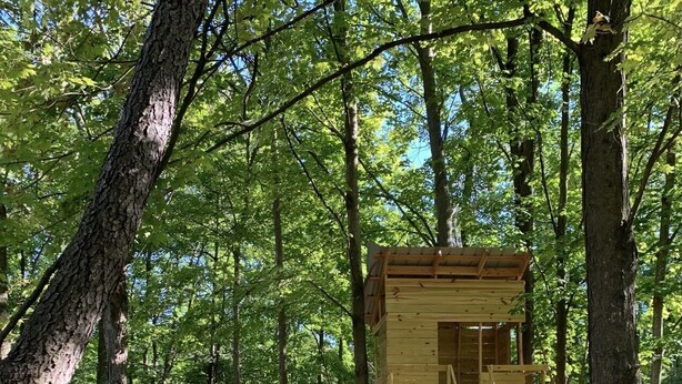 A wooden treehouse with a ladder, surrounded by trees and a hammock. - Warwick Life - Leaf Peeping, Apple Picking, Skiing, Wineries, Breweries,Legoland (Warwick)