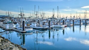 Een jachthaven met veel liggende boten, kalm water en heldere lucht.