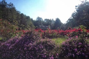Property grounds - Mercure Styles Hotel Meizhou (Meizhou)