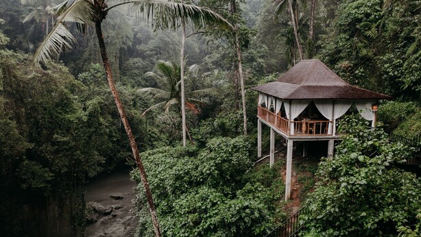 A wooden structure with a balcony, surrounded by dense tropical foliage and a river. - Private Pool • Riverside Yoga Shala • Ubud (Ubud)