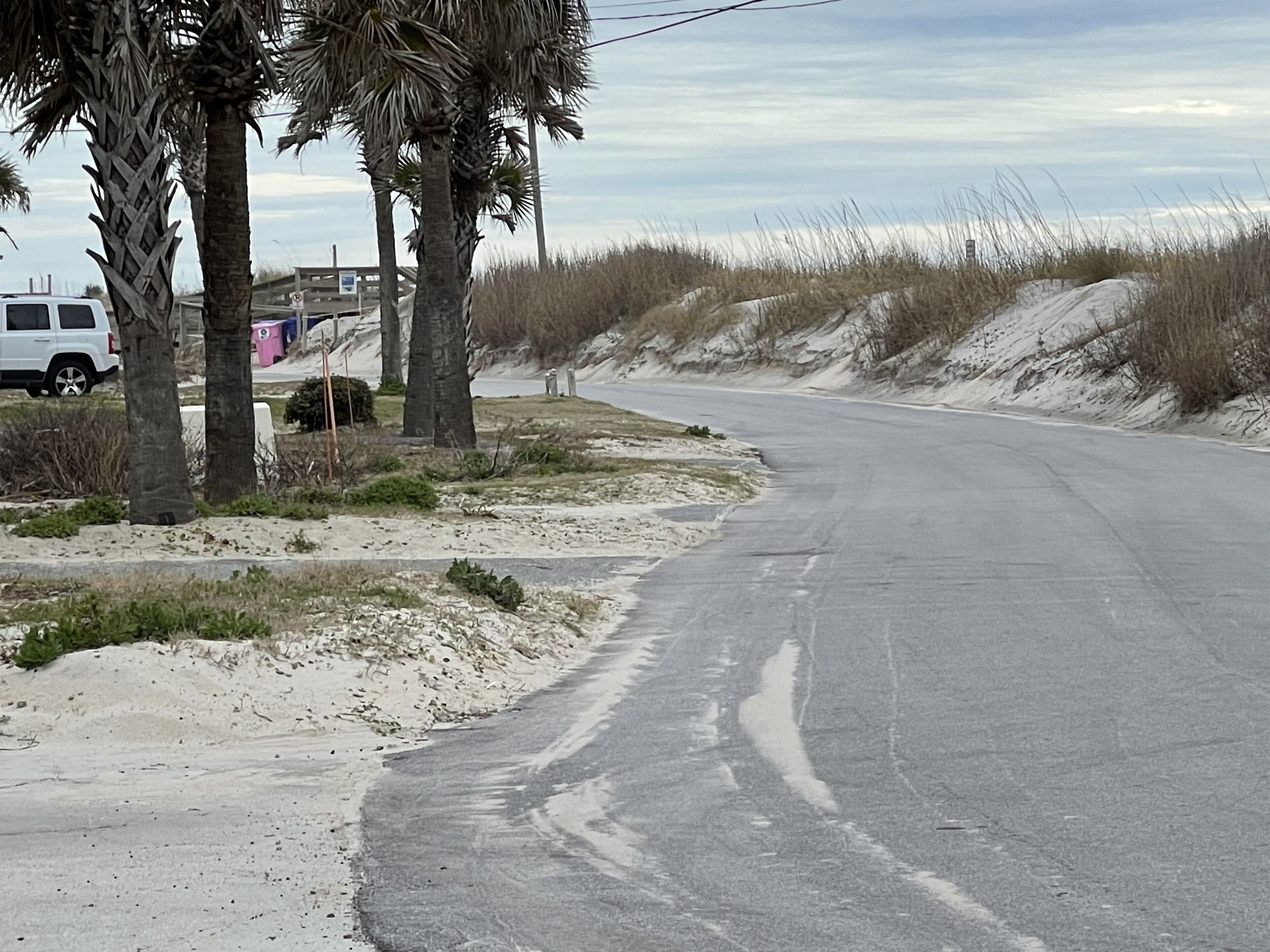 A road with palm trees and sand dunes.