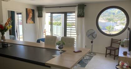 New luxury apartment F3 secure fully equipped air conditioning wifi terrace view 2 parking