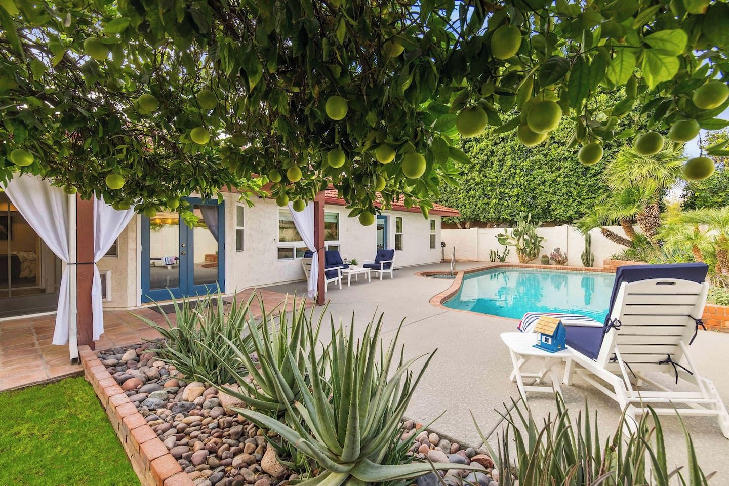 Oranges in season and a gorgeous backyard with pool