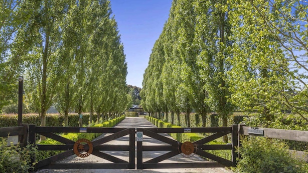 Un sentier bordé de grands arbres menant à un bâtiment.