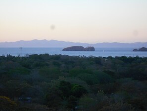 A coastal landscape with dense vegetation, a body of water, and distant mountains.