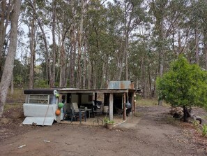 Property grounds - Loft on quiet 5 acre bush block. Less than 5 minutes to beaches. (Congo)