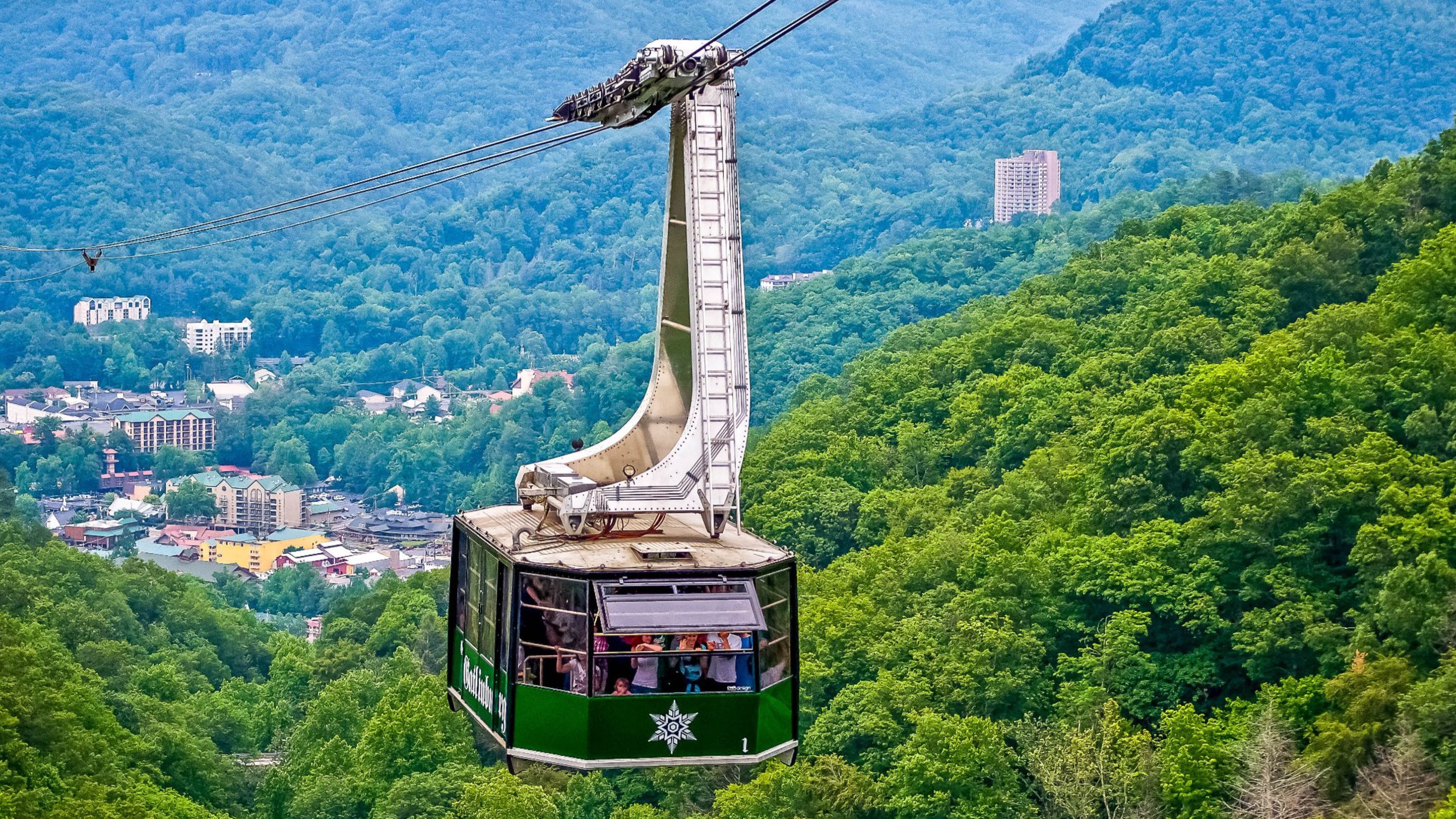 Un teleférico con pasajeros, suspendido por cables, se desplaza a través de un bosque verde y frondoso con edificios al fondo.