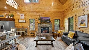 Smart TV, fireplace, DVD player, books