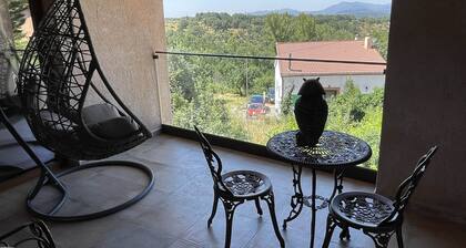 El Edificio Contiene 5 Magníficos Apartamentos y una Sala Común,