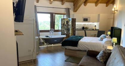 El Edificio Contiene 5 Magníficos Apartamentos y una Sala Común,