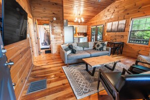 Smart TV, caminetto, libri