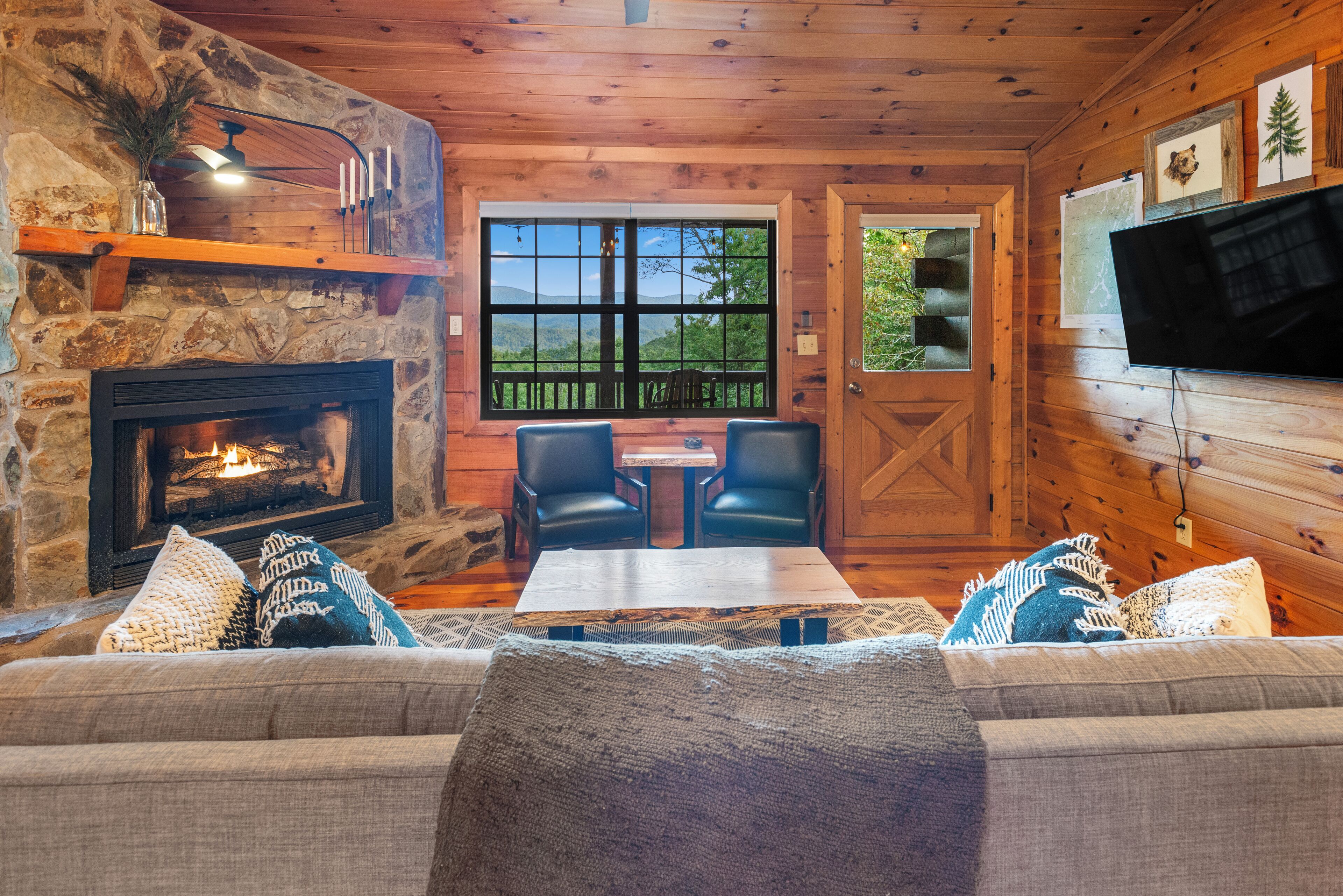 Smart TV, fireplace, books