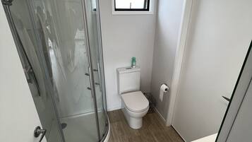 Shower, towels, toilet paper