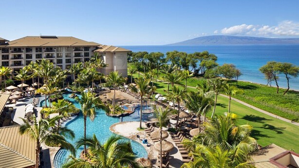 A resort with a large pool, palm trees, and a view of the ocean.