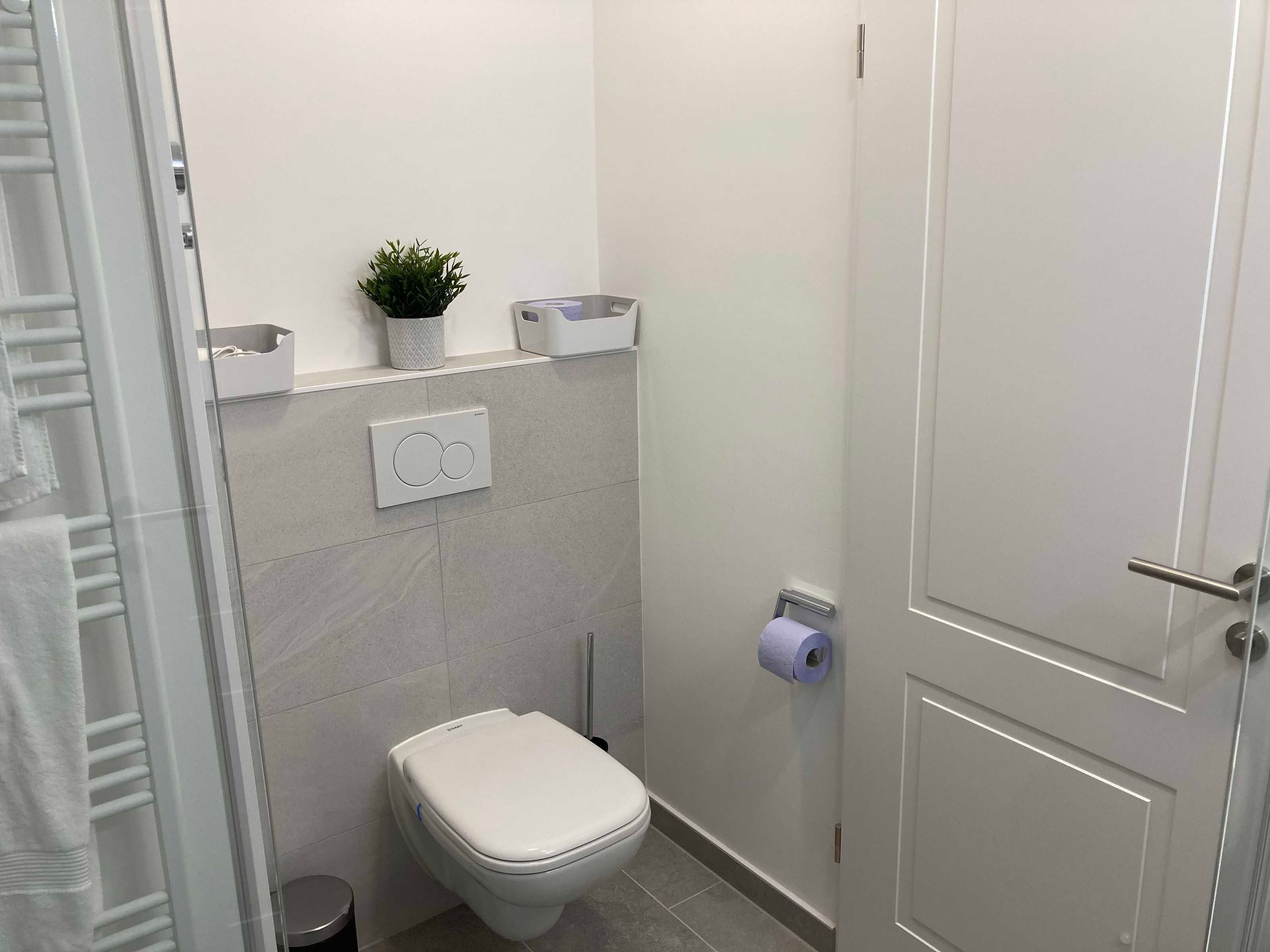 A modern bathroom with a toilet, a small trash bin, a toilet paper holder, and a potted plant on the wall.
