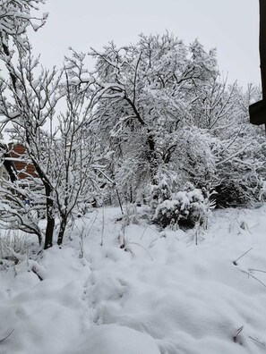 Terrain de l’hébergement 