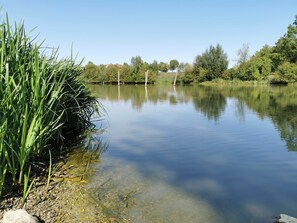 Nicht klassifiziertes Bild, 4 von 54, Schaltfläche