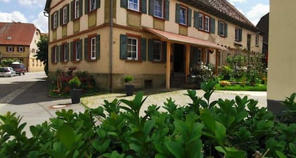 Merlin - Our Celtic farm